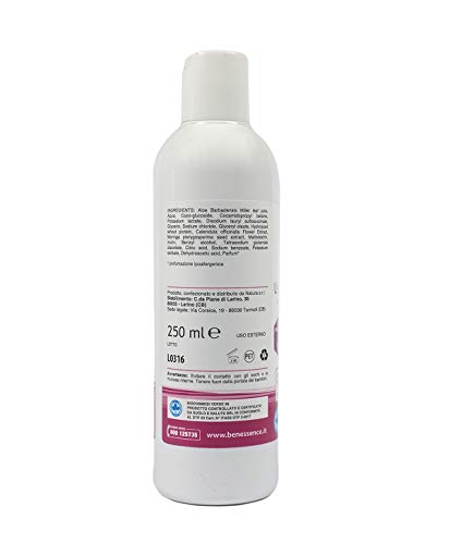 Benessence - CHAMPÚ DE USO FRECUENTE Orgánico en Aloe Vera Orgánico - 250 ml