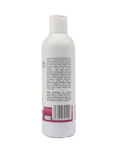 Benessence - CHAMPÚ DE USO FRECUENTE Orgánico en Aloe Vera Orgánico - 250 ml