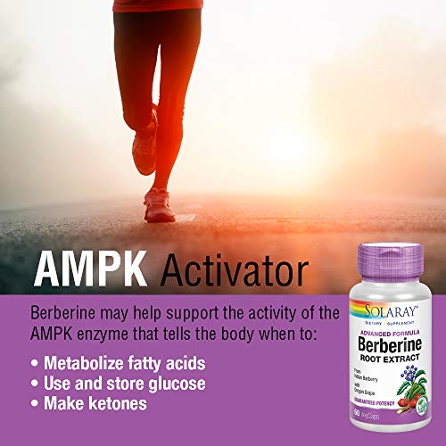 Berberine 60 cápsulas de Solaray