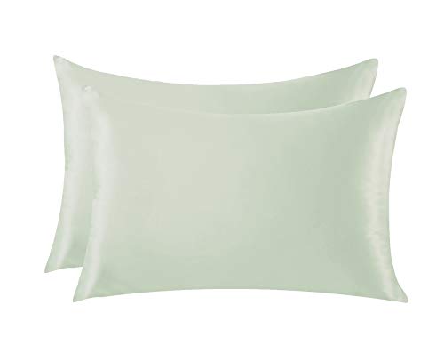 BESTELLIE Juego de 2 fundas de almohada de satén para el cabello fresco y evitar arrugas con cremallera oculta, tamaño queen 51 x 76 cm (Gary)