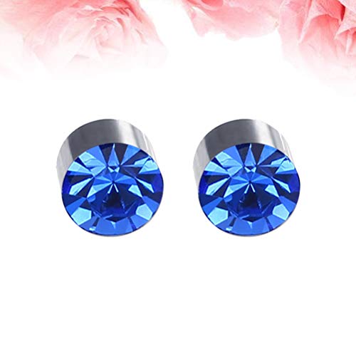 BESTOYARD 1 par de Imán Colorido Diamante Stud Stud Pendiente Adelgazante Pérdida de Peso Anti Celulitis para Hombres Mujeres Cuidado de la Salud Productos de Uñas de Orejas de Hierro (Azul Real)
