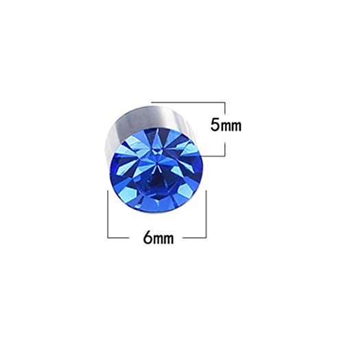 BESTOYARD 1 par de Imán Colorido Diamante Stud Stud Pendiente Adelgazante Pérdida de Peso Anti Celulitis para Hombres Mujeres Cuidado de la Salud Productos de Uñas de Orejas de Hierro (Azul Real)