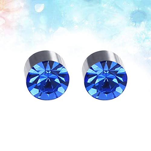 BESTOYARD 1 par de Imán Colorido Diamante Stud Stud Pendiente Adelgazante Pérdida de Peso Anti Celulitis para Hombres Mujeres Cuidado de la Salud Productos de Uñas de Orejas de Hierro (Azul Real)