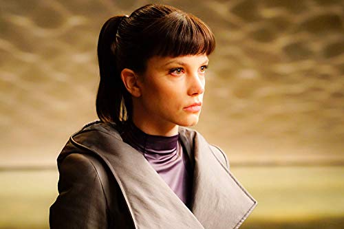 Blade Runner 2049 (4K UHD + BD) [Blu-ray]