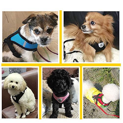 BLEVET Arnés Perro Gato Ajustable Respirante Pequeña Chaleco para Cachorros, Perros Pequeños y Gatos MZ046 (M, Black)