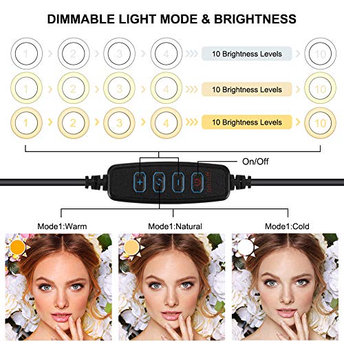 BLOOMWIN Luz de Anillo LED Regulable 6” con Espejo de Maquillaje Soporte para Móvil de Mesa Altura Ajustable con 3 Modos Profesional Plegable USB para Youtube Disparo Selfie Video Maquillaje Tiktok