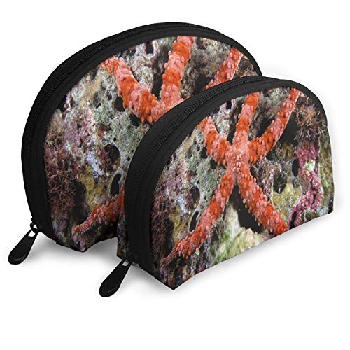 Bolsa de Maquillaje Star Star en Pinterest Bolsa de Concha portátil para niñas Paquete de Regalo del día de acción de Gracias 2