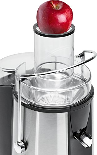 Bomann Ae 1917 CB Licuadora Semi Profesional, Desmontable, 1000 W, 2 litros, Acero Inoxidable, 2 Velocidades, Negro y Gris