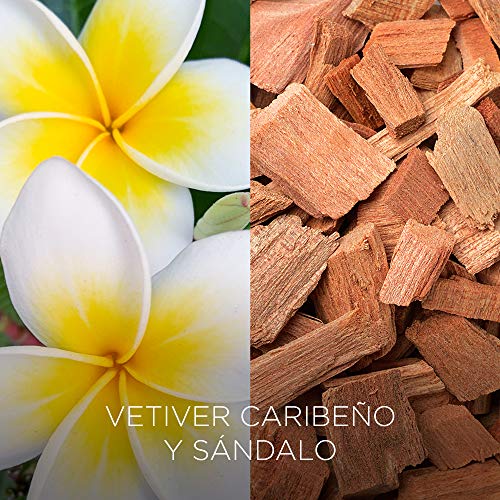 Botanica by Air Wick Varitas Perfumadas - Ambientador Mikados, Esencia Para Casa con Aroma a Vetiver Caribeño Y Sándalo - 100 ml