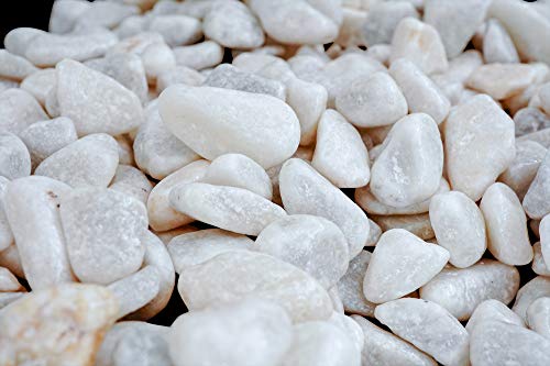 Brynnberg Piedra Decorativa para Jardin e Interior Guijarro (Naturaleza, 850g)