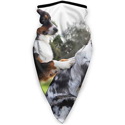 Bufanda Deportiva a Prueba de Viento Beneficios De Los Masajes para Perros Y Spas Bufanda Unisex Outdoor Face Neck Polaina Bufanda Facial Bandana Bufanda para Hombres Mujeres