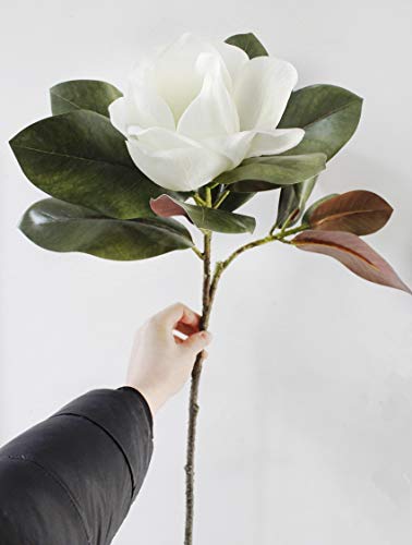 Bureze 2 Ramas de Magnolia Artificial con Hojas de Poliuretano decoración de Bodas, Navidad