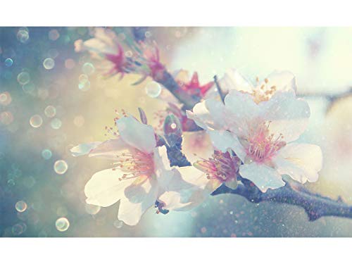 Cabecero Cama PVC Flor de Almendro | Varias Medidas 150x60cm | Fácil colocación | Decoración Habitación | Motivos paisajisticos | Naturaleza | Urbes Diseño Elegante