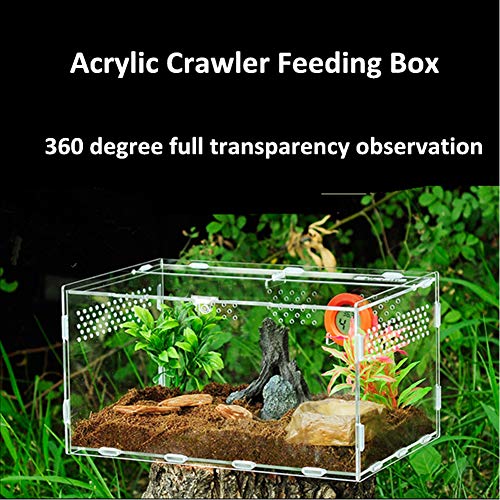 Caja de Alimentación de Insectos, 20X12X12cm Acrílico Transparente Estuche de Cría de Reptiles para Spide, Lagartija, Escorpión, Ciempiés, Rana cornuda, Escarabajo