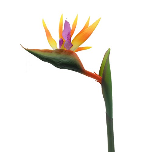 Calcifer 32 "real Touch de ave del paraíso Artificial ramo de flores para casa jardín decoración Boda Fiesta Decor Naranja (paquete Cantidad: 5 tallos)