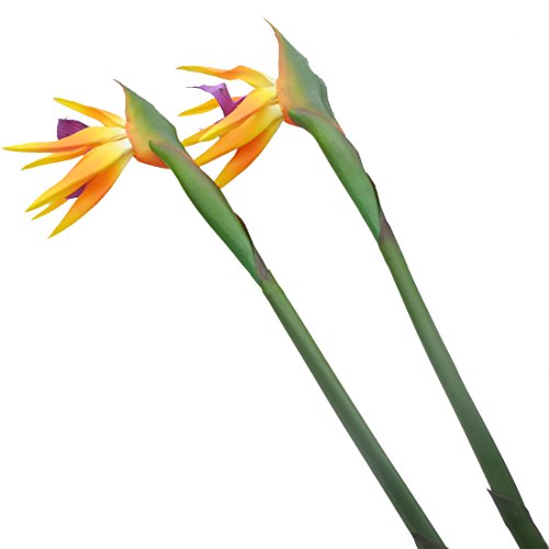 Calcifer 32 "real Touch de ave del paraíso Artificial ramo de flores para casa jardín decoración Boda Fiesta Decor Naranja (paquete Cantidad: 5 tallos)