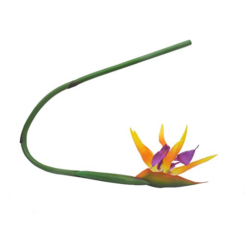 Calcifer 32 "real Touch de ave del paraíso Artificial ramo de flores para casa jardín decoración Boda Fiesta Decor Naranja (paquete Cantidad: 5 tallos)