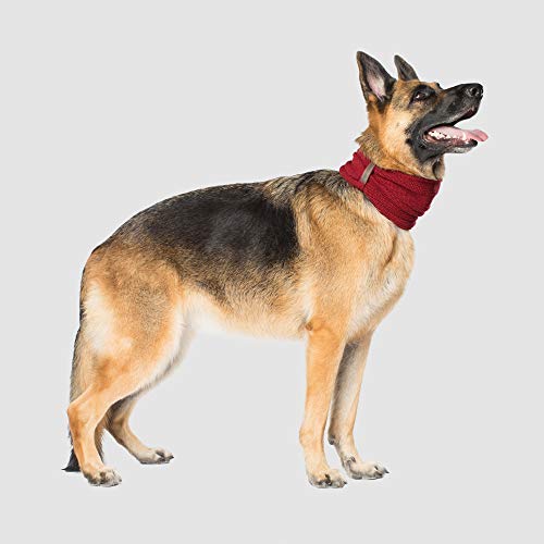 Canada Pooch Cp01868 Sherpa - Bufanda (Talla S), Color Rojo