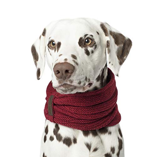 Canada Pooch Cp01868 Sherpa - Bufanda (Talla S), Color Rojo