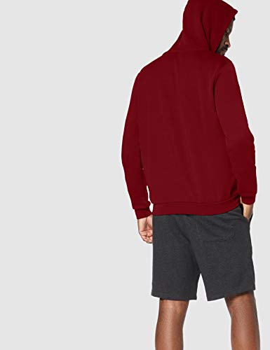 CARE OF by PUMA Sudadera de manga larga con capucha y forro para hombre, Rojo (Red), L, Label: L