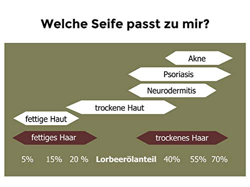 Carenesse Jabón liquido Alepo, 75% aceite de oliva + 25% aceite de laurel, producto natural, 100% vegetal, jabón liquido natural, 250 ml