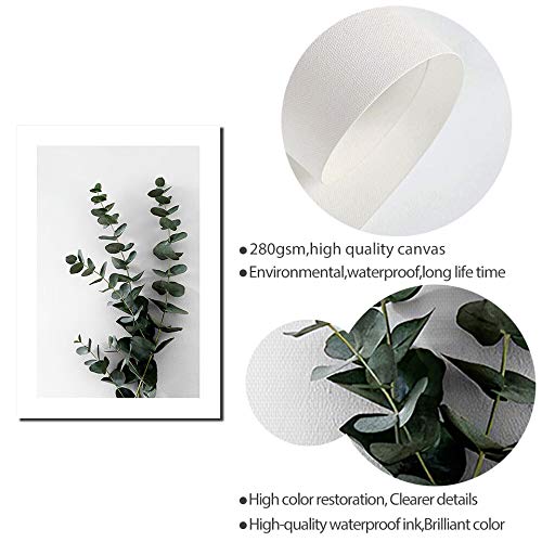 Cartel nórdico lienzo pintura eucalipto Branc pared arte cuadros para sala moderna decorativos Prins en la pared 30x45 cm sin marco