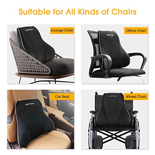 Carttiya Cojin Lumbar Coche, Almohada de Soporte Lumbar de Espuma de Memoria,Cojín Respaldo Ergonómico para Automóvil, Silla Oficina, Apoyo a la Espalda (Grande)