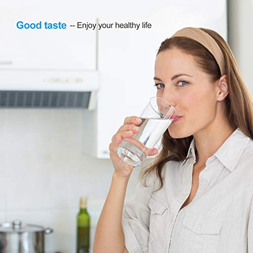 Cartuchos de Filtro para Todos Los Filtros de Agua BRITA MAXTRA+ con Carbón Activo para Reducir la Cal, iTrunk Paquete de 4 Cartuchos de Resina de Intercambio de Iones de Carbón Activo