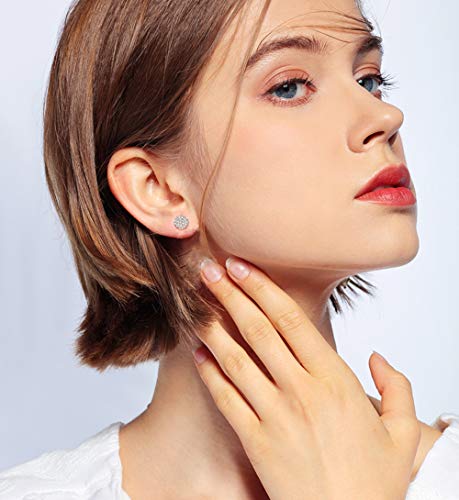 Cassieca 10 Pares Acero Inoxidable Pendientes Para Mujer Circoniña Stud Pendientes Piercing Corazón Luna Barra Pendientes Set Plata Oro Rosa