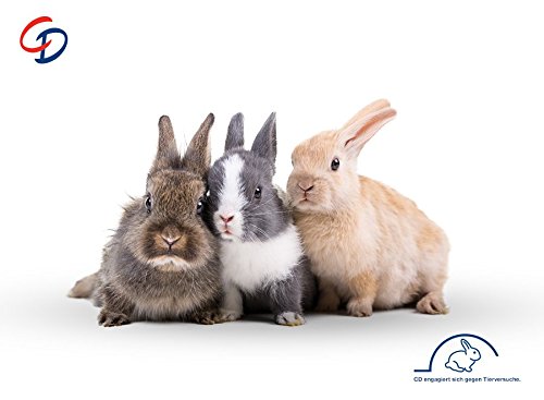 CD Aloe Effect - Crema hidratante refrescante (50 ml, crema antienvejecimiento, con aloe vera y Q10, SPF 15, cuidado diario para piel normal y mixta, vegana)