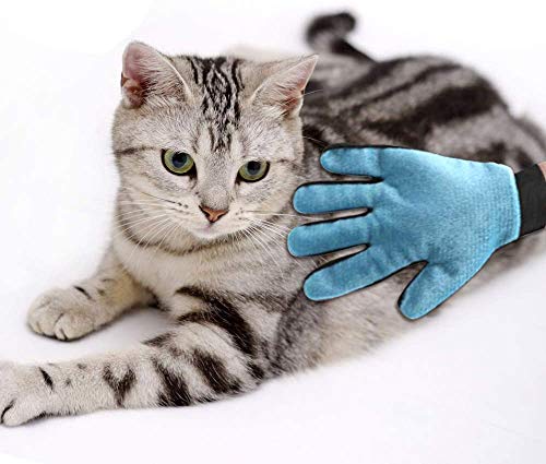 Cepillo para Guantes -con Removedor de pelo para Muebles - Limpieza de Mascotas Para Perros Pequeños, Medianos y Grandes & Gatos Con Pelaje Corto a Largo - Reduce Eficazmente la Caida de Cabello Hasta