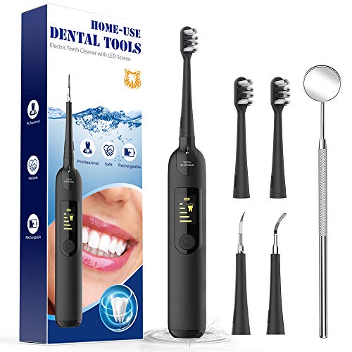 Cepillos de Dientes, ifanze Limpieza Dental Cepillos Dentales, Limpieza de los Dientes Bucal Limpiador con 5 Modos de Cepillado, 4 Recambio Cabezales kit Limpieza Dental 5 in 1