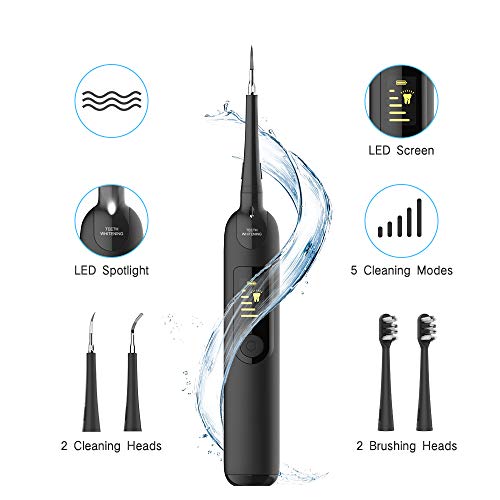 Cepillos de Dientes, ifanze Limpieza Dental Cepillos Dentales, Limpieza de los Dientes Bucal Limpiador con 5 Modos de Cepillado, 4 Recambio Cabezales kit Limpieza Dental 5 in 1