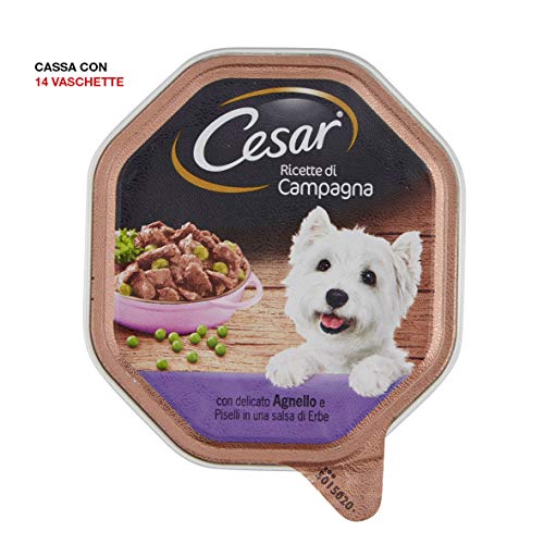Cesar Recetas de Campo, Comida para Perro 150 g – 14 Bandejas