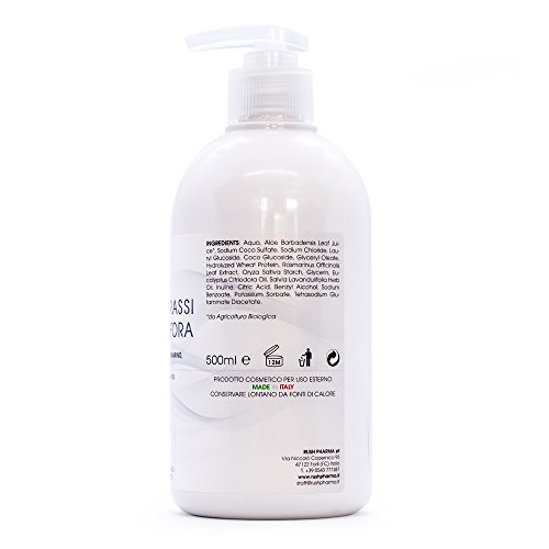 Champu Anticaspa Sin Sulfatos Ni Parabenos Cabello Graso Natural Ecologico Antigrasa Con Phyto keratina Shampoo Profesional Para Pelo De Hombre Y Mujer 500 Ml Sin Siliconas Sebocorrector