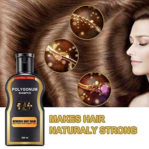 Champú natural oscurecedor - 100 a base de hierbas naturales - Sin sulfato - Champú orgánico oscurecedor - Crecimiento del cabello negro Tinte capilar no alérgico Para mujeres Hombres Cabello gris