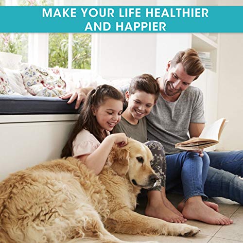 Charminer Pelota de Juguete al Aire Libre para Perros, Juguete Multifuncional para mordedura de Molar para Mascotas, Juguete de Bola de Perro de Estilo de Ventosa Resistente a la masticación