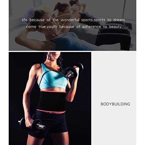 Cinturón de la cintura, Cinturón de adelgazamiento ajustable de alta calidad Acelera la pérdida de peso y la tonificación Ab, Cinturón de la cintura para adelgazar entrenador, Cinturón de reducción deportiva para hombres y mujeres