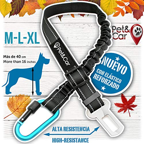 Cinturón de seguridad extensible para arnés de perro. Previene lesiones de mascota en coche por su correa elástica, mosquetón resistente y ligero con cierre de seguridad (Grande - Mediano (M - L - XL)