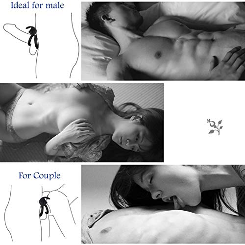 Círculo de relajación de motor potente de alta velocidad con collar electrónico negro - Kits perfectos