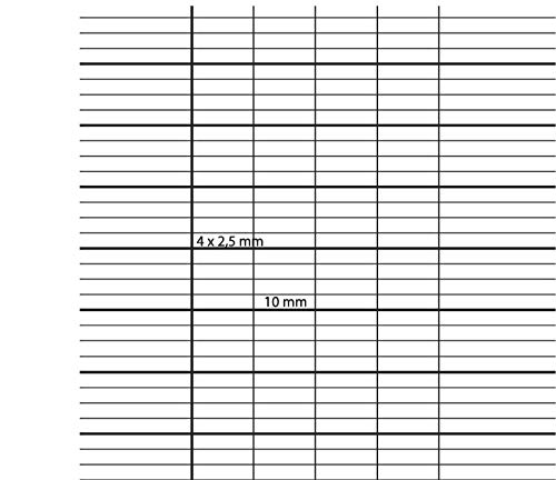 Clairefontaine 4729C - Pack de 48 Hojas Dobles A4 para Discapacitados Visuales rayado francés (Séyès 2,5 - Ampliado 10x10) de 96 páginas