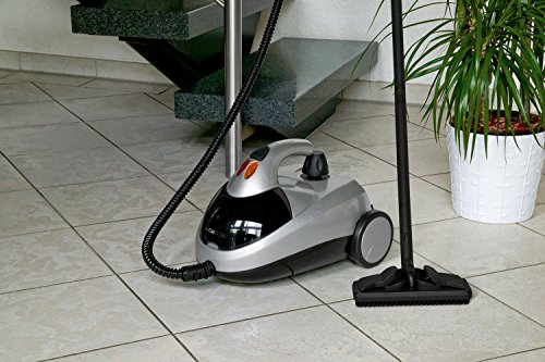Clatronic DR 3280 - Vaporeta limpiador al vapor (4 bares), 10 accesorios, 1500W, color plateado