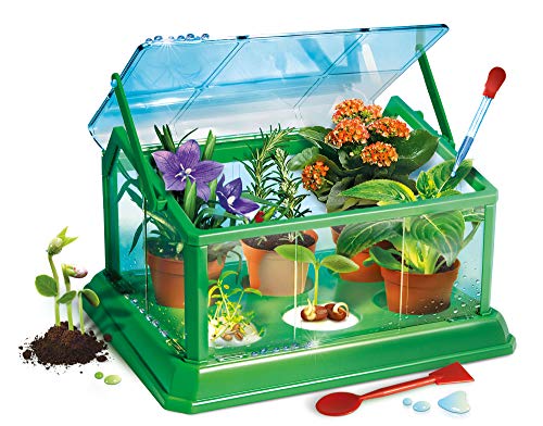 Clementoni 13935 Kit de experimentos Juguete y Kit de Ciencia para niños - Juguetes y Kits de Ciencia para niños (Biología, Kit de experimentos, 8 año(s), Multicolor, 385 mm, 78 mm)