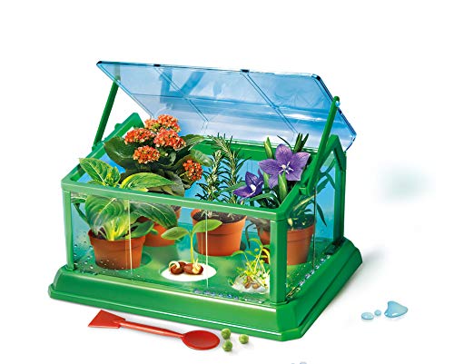 Clementoni 13935 Kit de experimentos Juguete y Kit de Ciencia para niños - Juguetes y Kits de Ciencia para niños (Biología, Kit de experimentos, 8 año(s), Multicolor, 385 mm, 78 mm)