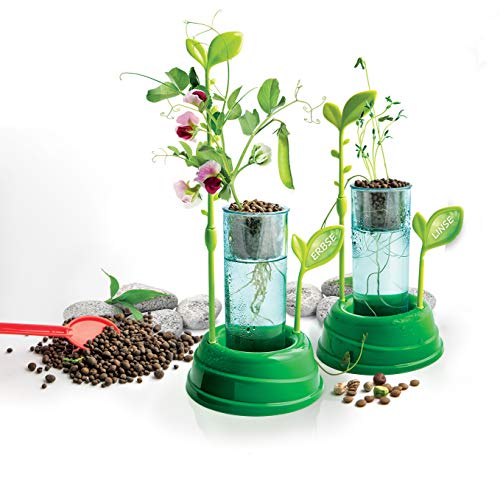 Clementoni 59065 Galileo – Hydro Cultura de invernadero, multicolor , color/modelo surtido