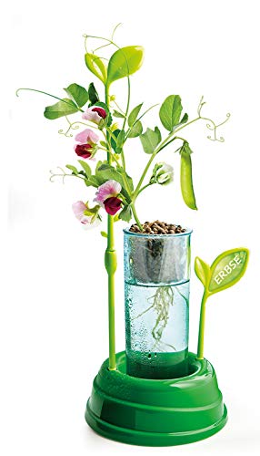 Clementoni 59065 Galileo – Hydro Cultura de invernadero, multicolor , color/modelo surtido