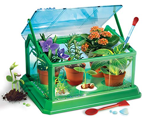 Clementoni - A MINHA PRIMEIRA ESTUFA (67210 - Versión Portuguesa)