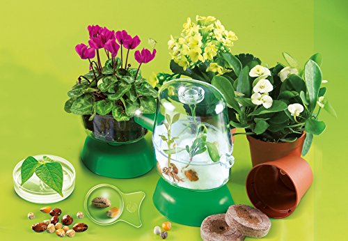 Clementoni - Botánica, Juego de Ciencia Educativo (550784)