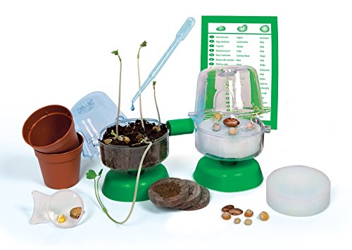 Clementoni - Botánica, Juego de Ciencia Educativo (550784)