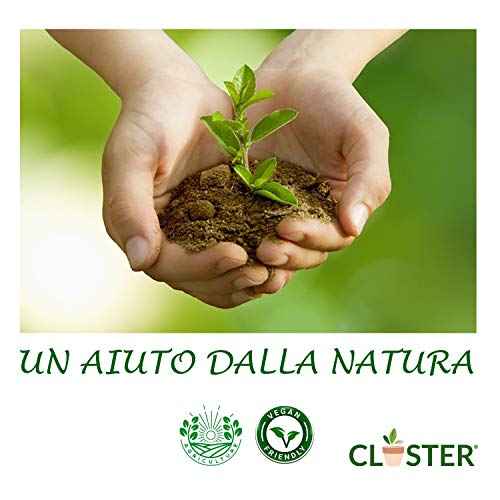 CLOSTER® Aceite de Neem Puro Nuevo 2020 Insecticida Plantas Natural Anti Mosquitos Desinfectante contra Chinches Pulgones Cochinilla Piojos Araña Roja Desinfestante Eficaz y Ecológico (250 ML)